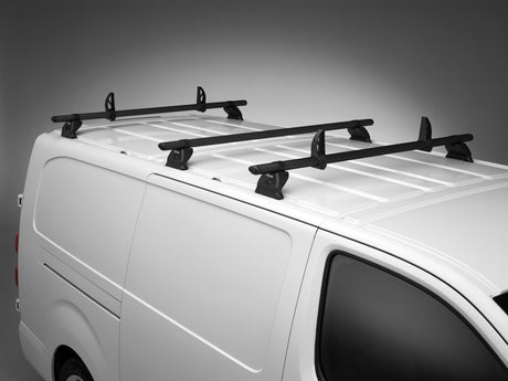 KammBar Black Dakdrager - Farizon SV 2025 -